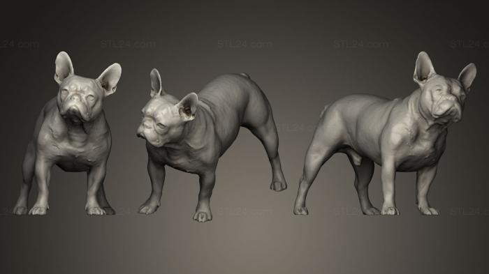 Animal figurines (DOG B11, STKJ_0236) 3D models for cnc